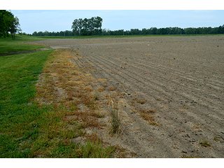 Property photo 10 - FARM & LAND AUCTION - 125+/- ACRES OFFERED IN 5 TRACTS IN EAST ALLEN COUNTY, INDIANA